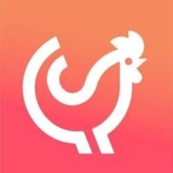 خرید CHKN CHKN | فروش ارز دیجیتال CHKN به همراه قیمت لحظه‌ای