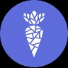 کارات دائو
