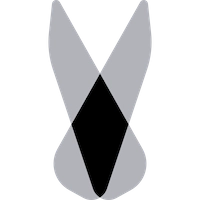 رابت