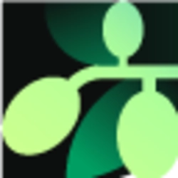 زیتون