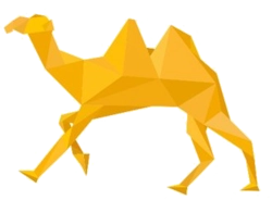 دی ایکس چین