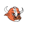 فول بال