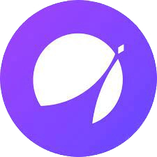 Dfyn نتورک
