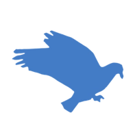 دی ام جی