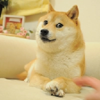 خرید و قیمت لحظه‌ای دوج ان اف تی DOG | فروش ارز دیجیتال The Doge NFT