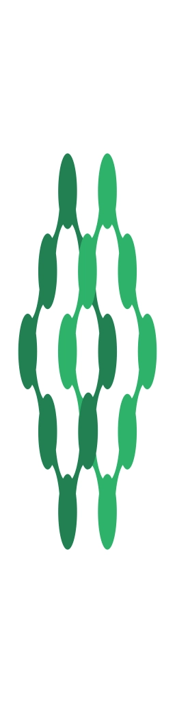 اینشور ایس