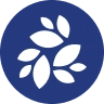 ان کی ان